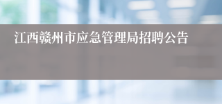 江西赣州市应急管理局招聘公告