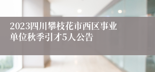 2023四川攀枝花市西区事业单位秋季引才5人公告