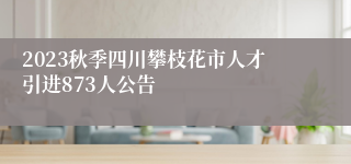 2023秋季四川攀枝花市人才引进873人公告