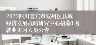 2023四川宜宾市叙州区县域经济发展战略研究中心招募1名就业见习人员公告