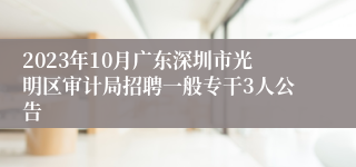 2023年10月广东深圳市光明区审计局招聘一般专干3人公告