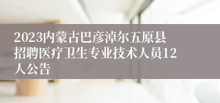 2023内蒙古巴彦淖尔五原县招聘医疗卫生专业技术人员12人公告