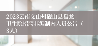 2023云南文山州砚山县盘龙卫生院招聘非编制内人员公告（3人）