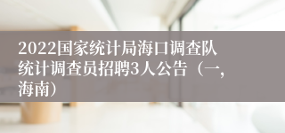 2022国家统计局海口调查队统计调查员招聘3人公告（一，海南）