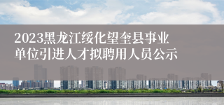 2023黑龙江绥化望奎县事业单位引进人才拟聘用人员公示