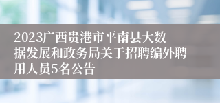 2023广西贵港市平南县大数据发展和政务局关于招聘编外聘用人员5名公告