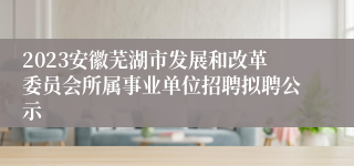 2023安徽芜湖市发展和改革委员会所属事业单位招聘拟聘公示