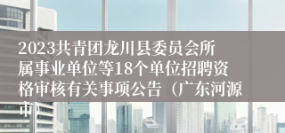 2023共青团龙川县委员会所属事业单位等18个单位招聘资格审核有关事项公告（广东河源市）