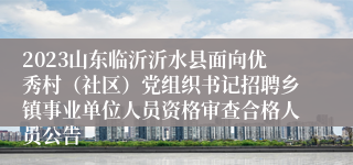 2023山东临沂沂水县面向优秀村（社区）党组织书记招聘乡镇事业单位人员资格审查合格人员公告