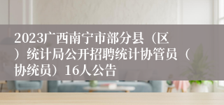 2023广西南宁市部分县（区）统计局公开招聘统计协管员（协统员）16人公告