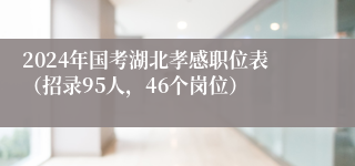 2024年国考湖北孝感职位表（招录95人，46个岗位）