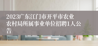 2023广东江门市开平市农业农村局所属事业单位招聘1人公告