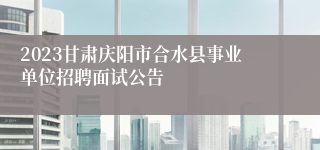 2023甘肃庆阳市合水县事业单位招聘面试公告