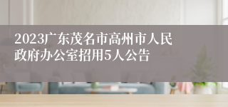 2023广东茂名市高州市人民政府办公室招用5人公告