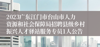 2023广东江门市台山市人力资源和社会保障局招聘县级乡村振兴人才驿站服务专员1人公告