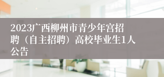 2023广西柳州市青少年宫招聘（自主招聘）高校毕业生1人公告