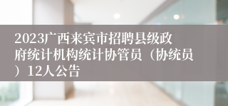 2023广西来宾市招聘县级政府统计机构统计协管员（协统员）12人公告