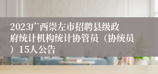 2023广西崇左市招聘县级政府统计机构统计协管员（协统员）15人公告