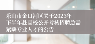 乐山市金口河区关于2023年下半年赴高校公开考核招聘急需紧缺专业人才的公告 