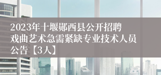 2023年十堰郧西县公开招聘戏曲艺术急需紧缺专业技术人员公告【3人】