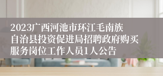 2023广西河池市环江毛南族自治县投资促进局招聘政府购买服务岗位工作人员1人公告