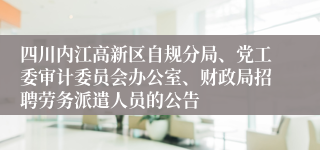 四川内江高新区自规分局、党工委审计委员会办公室、财政局招聘劳务派遣人员的公告