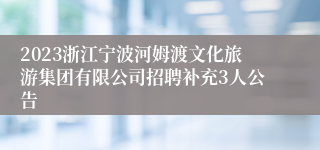 2023浙江宁波河姆渡文化旅游集团有限公司招聘补充3人公告