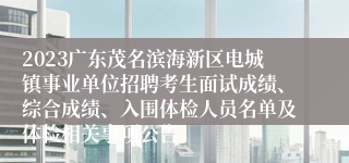 2023广东茂名滨海新区电城镇事业单位招聘考生面试成绩、综合成绩、入围体检人员名单及体检相关事项公告