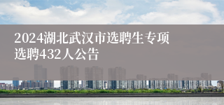 2024湖北武汉市选聘生专项选聘432人公告