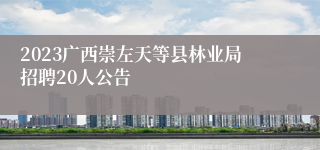 2023广西崇左天等县林业局招聘20人公告
