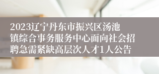 2023辽宁丹东市振兴区汤池镇综合事务服务中心面向社会招聘急需紧缺高层次人才1人公告