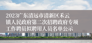2023广东清远市清新区禾云镇人民政府第二次招聘政府专项工作聘员拟聘用人员名单公示