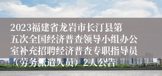 2023福建省龙岩市长汀县第五次全国经济普查领导小组办公室补充招聘经济普查专职指导员（劳务派遣人员）2人公告
