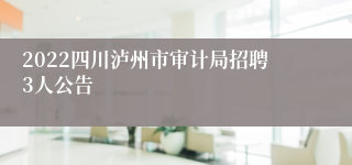 2022四川泸州市审计局招聘3人公告