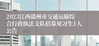 2023江西赣州市交通运输综合行政执法支队招募见习生1人公告