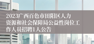 2023广西百色市田阳区人力资源和社会保障局公益性岗位工作人员招聘1人公告