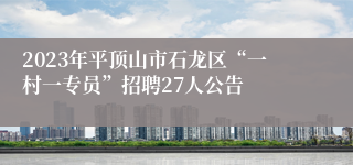 2023年平顶山市石龙区“一村一专员”招聘27人公告