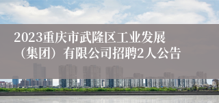 2023重庆市武隆区工业发展（集团）有限公司招聘2人公告