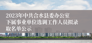 2023年中共合水县委办公室下属事业单位选调工作人员拟录取名单公示