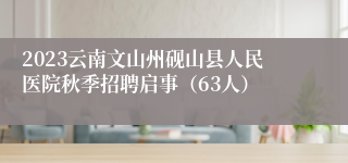 2023云南文山州砚山县人民医院秋季招聘启事（63人）