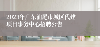 2023年广东汕尾市城区代建项目事务中心招聘公告