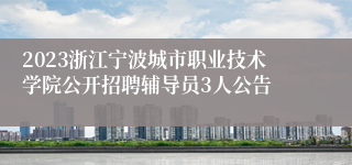 2023浙江宁波城市职业技术学院公开招聘辅导员3人公告