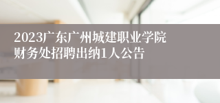 2023广东广州城建职业学院财务处招聘出纳1人公告