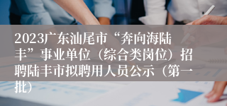 2023广东汕尾市“奔向海陆丰”事业单位（综合类岗位）招聘陆丰市拟聘用人员公示（第一批）