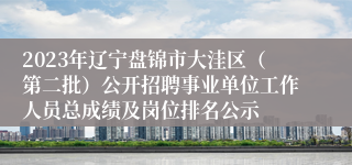 2023年辽宁盘锦市大洼区（第二批）公开招聘事业单位工作人员总成绩及岗位排名公示