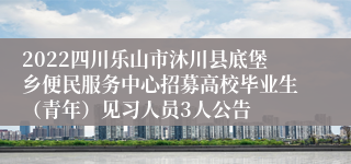 2022四川乐山市沐川县底堡乡便民服务中心招募高校毕业生（青年）见习人员3人公告