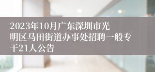 2023年10月广东深圳市光明区马田街道办事处招聘一般专干21人公告