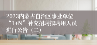 2023内蒙古自治区事业单位“1+N”补充招聘拟聘用人员进行公告（二）