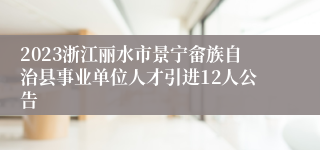 2023浙江丽水市景宁畲族自治县事业单位人才引进12人公告