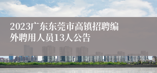 2023广东东莞市高镇招聘编外聘用人员13人公告